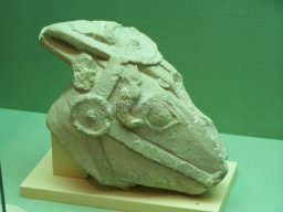 Museo de Arte Iberico el Cigarralejo 2008